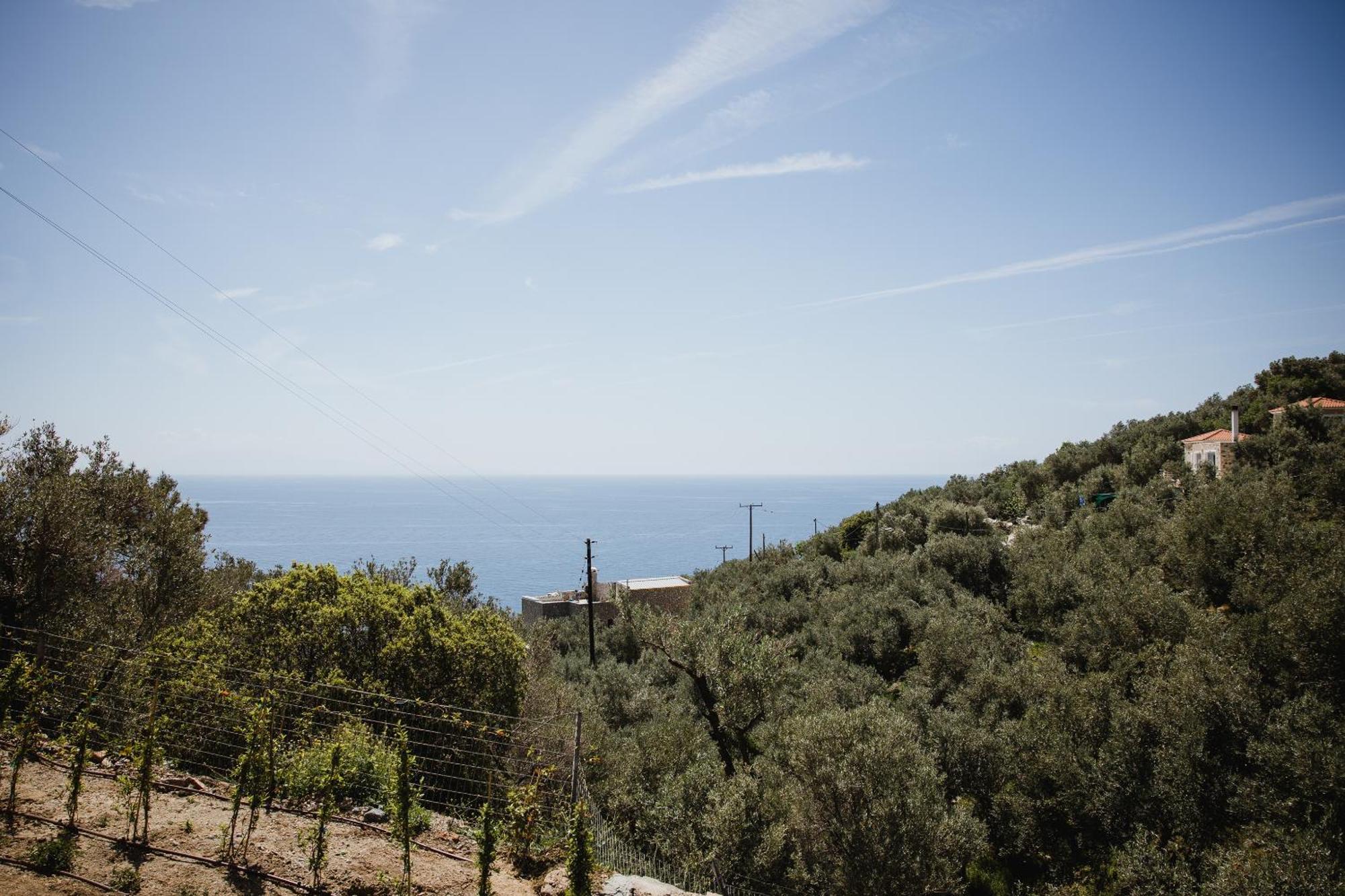 Five Olive Dream Trip Βίλα Πλωμάρι Εξωτερικό φωτογραφία