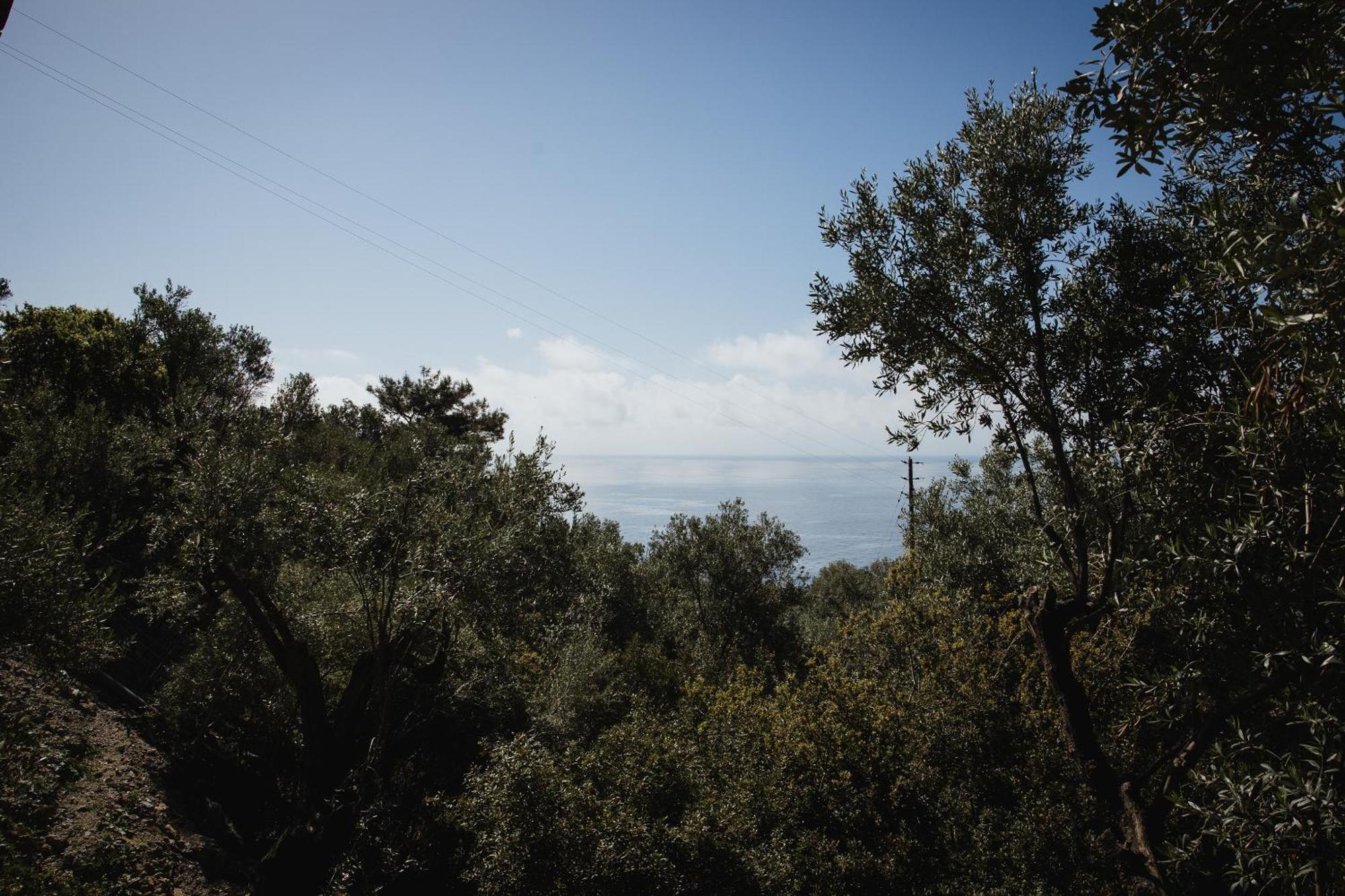 Five Olive Dream Trip Βίλα Πλωμάρι Εξωτερικό φωτογραφία